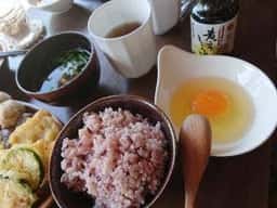 くらしき茶房 桜花