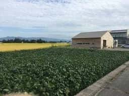 cafe＋gallery 青田風