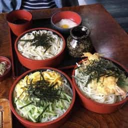 新政