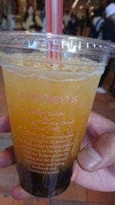 COCOPLUS