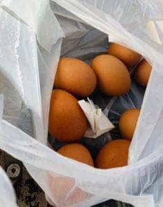 雲仙地獄温泉たまご