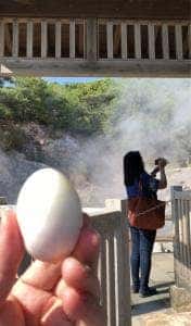雲仙地獄温泉たまご
