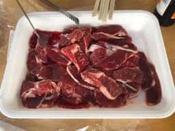 昭和記念公園 バーベキューガーデン