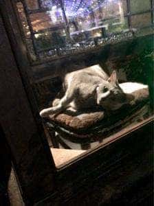 BAR デュエット