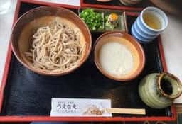 うえなえ