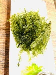 焼彩沖縄家 ゆんたく