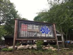 ジョシュアツリー