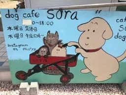 ドックカフェ sora