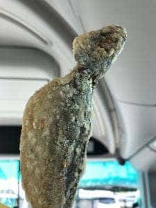 小田原吉匠 海老名SA下り店