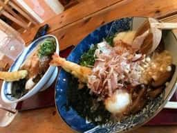 稲庭風うどん 玉や