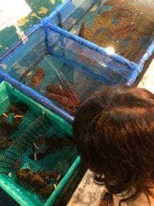 釣船茶屋 ざうお 所沢店