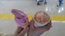 みどりの杜のカフェ みどりの杜農業園芸センター