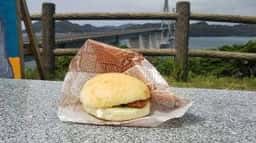 道の駅 鷹ら島