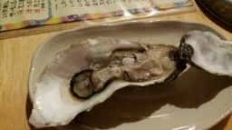 明樹葉