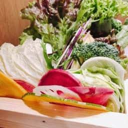 レタしゃぶダイニング すすきの本店