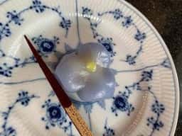 娑羅樹