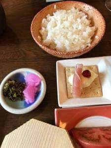 風と野の紀行