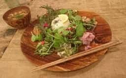 ごはんや ルリカケス