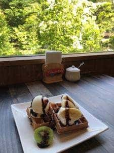 カフェ ワイズガーデン