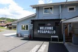 Pesapallo