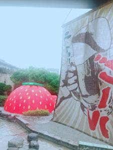 ドクターフィッシュ&カフェ 水景庵