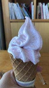 farm-circus 道の駅神戸フルーツフラワー・パーク大沢