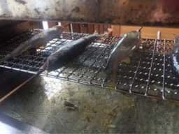 板取川 洞戸観光ヤナ