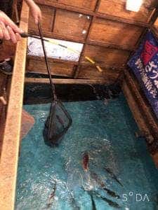 釣船茶屋 ざうお 渋谷店