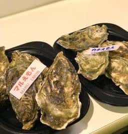 厚岸漁業協同組合直売店