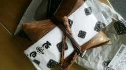 ANA FESTA 中部ゲート2号店