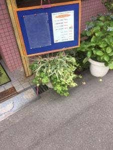 マンダリン