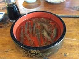 漁火
