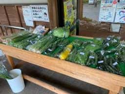 道の駅 きらら289 レストラン