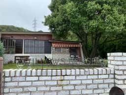 WILLOWS NURSERY