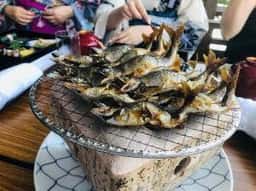 金沢・浅の川園遊会 白糸川床