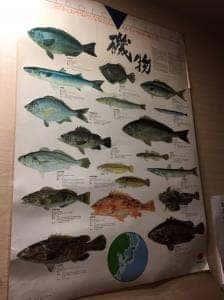 寿司と肴 活はる