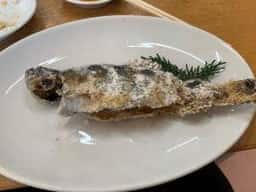 早戸川国際マス釣場