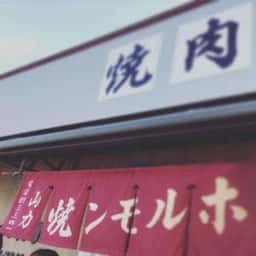 山力