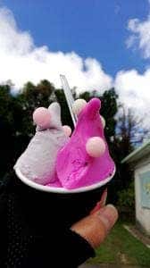 島ジェラート&カフェ ISOLA