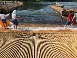 あゆの里 矢沢のヤナ