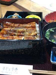 天然青うなぎ うじょう亭