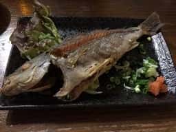 酒処 どんぐり