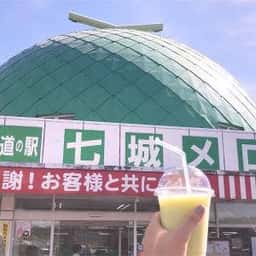 道の駅七城メロンドーム