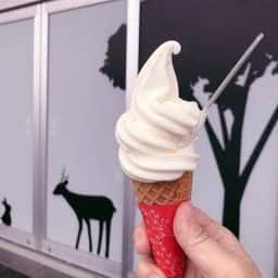 ろまん亭 BRANCH札幌月寒店