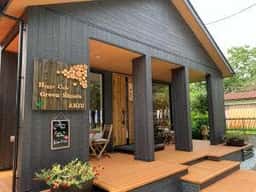 Hygge Café Green Shoots