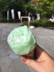 なまはげ館 ババヘラアイス