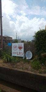 花れもん