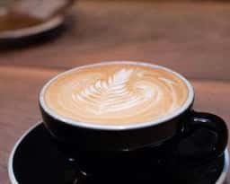 GRIZZLY COFFEE & CLIMBING WALL