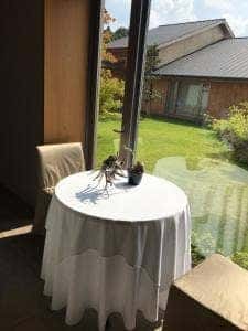 オーベルジュ・ド・ぷれざんす 桜井