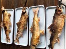 日田鮎やな場茶屋